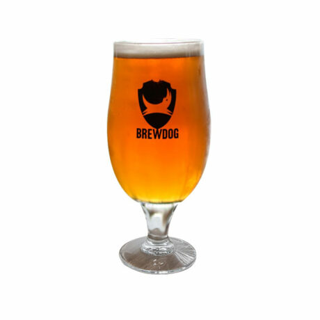 Verre Brewdog 25 Cl